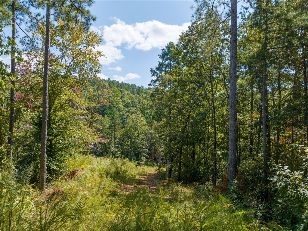 715 Timberbrook Trail Salem, SC 29676 - Photo 1 of 18 Gallery Image 1