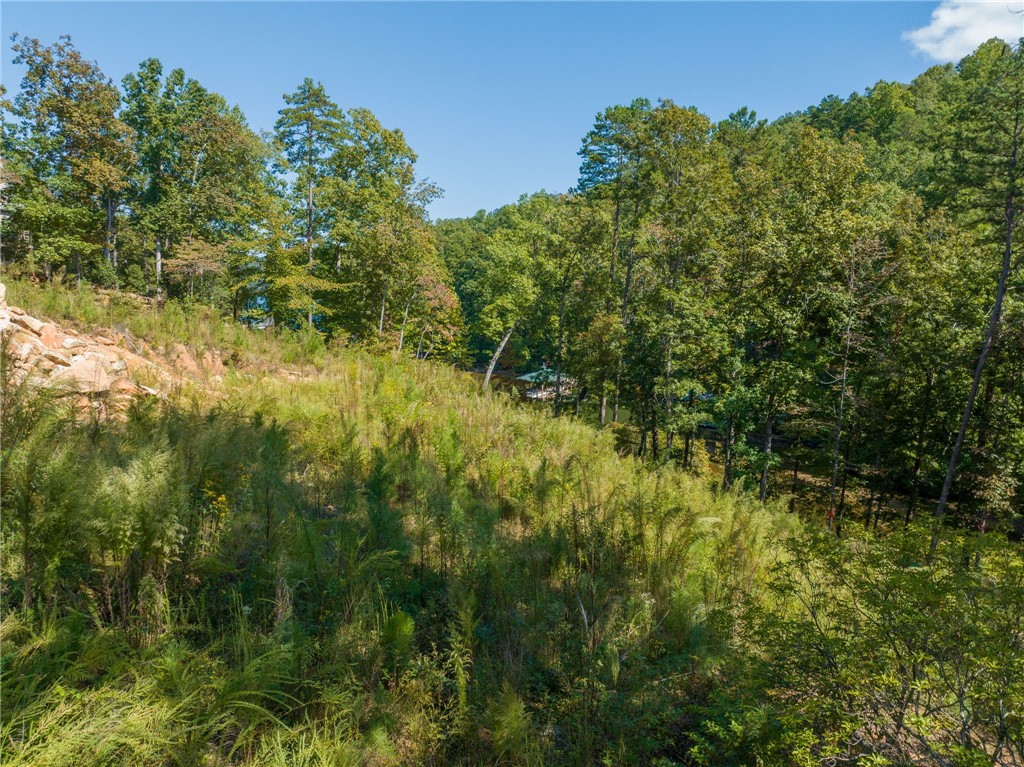 715 Timberbrook Trail Salem, SC 29676 - Photo 11 of 18 Gallery Image 11