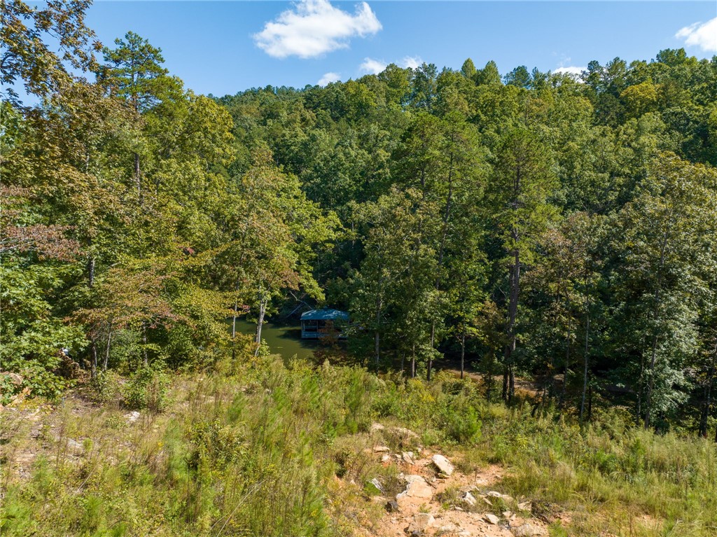715 Timberbrook Trail Salem, SC 29676 - Photo 12 of 18 Gallery Image 12