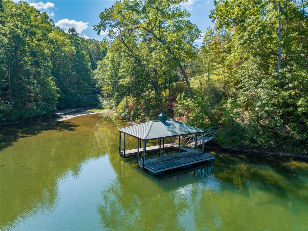 715 Timberbrook Trail Salem, SC 29676 - Photo 6 of 18 Gallery Image 6