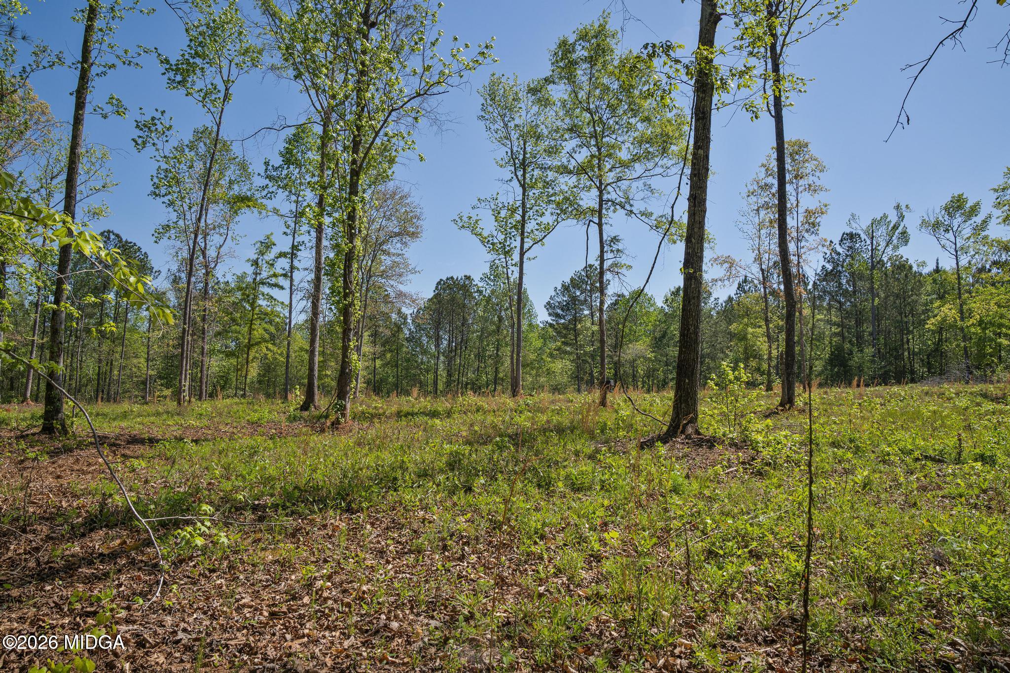 302 Goodwyne Road Forsyth, GA 31029 - Photo 11 of 17 DSC04242