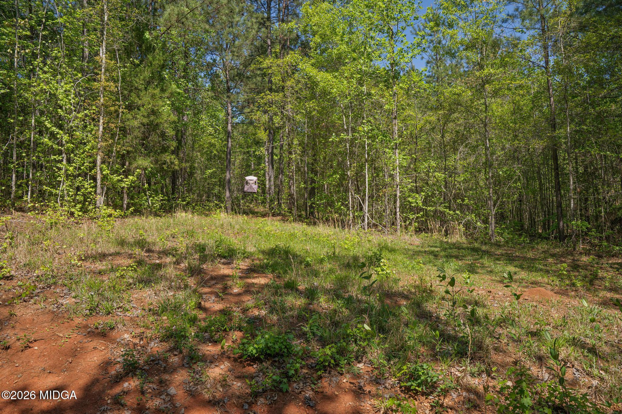 302 Goodwyne Road Forsyth, GA 31029 - Photo 12 of 17 DSC04254