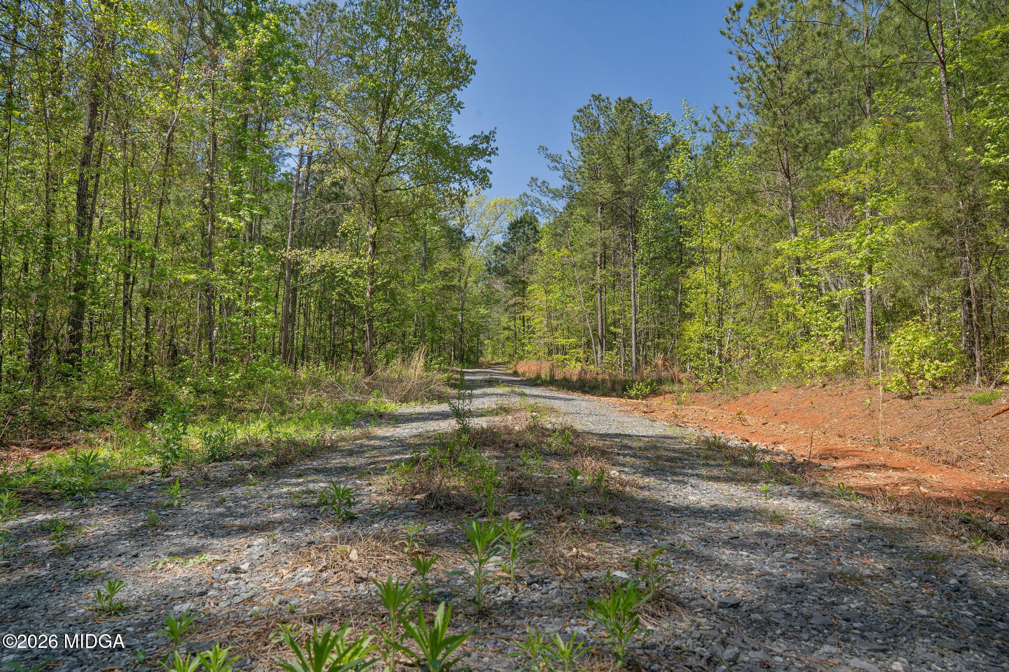 302 Goodwyne Road Forsyth, GA 31029 - Photo 13 of 17 DSC04256