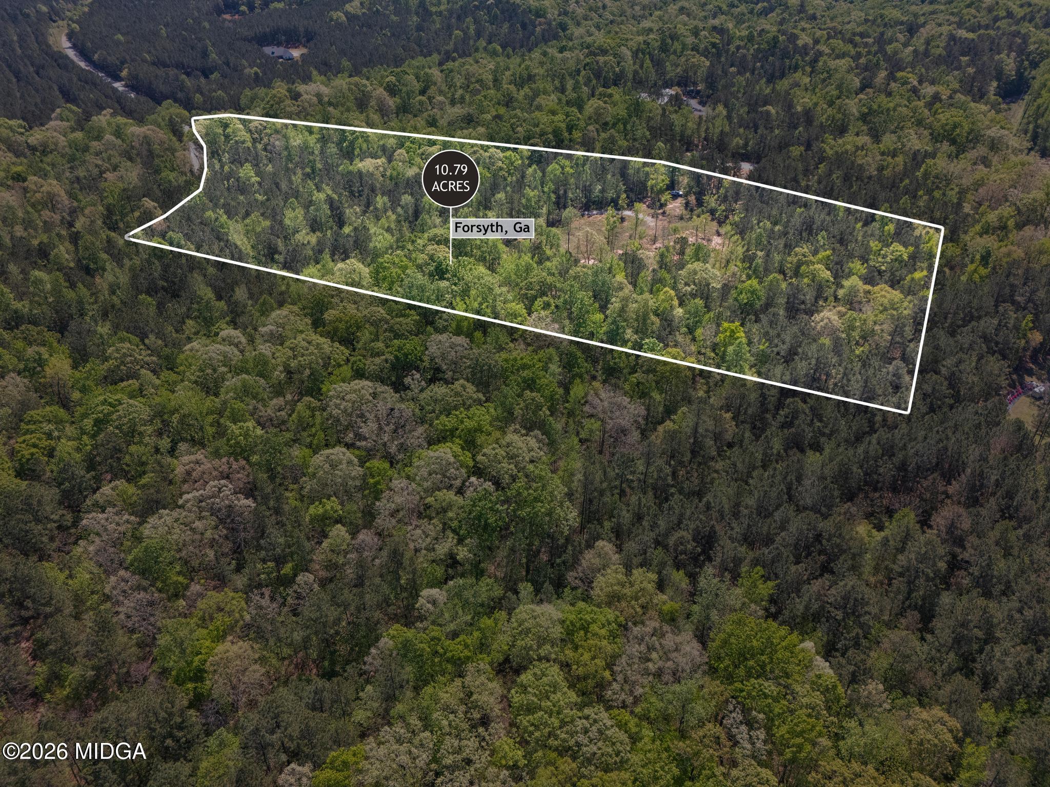302 Goodwyne Road Forsyth, GA 31029 - Photo 14 of 17 Lot Line 1