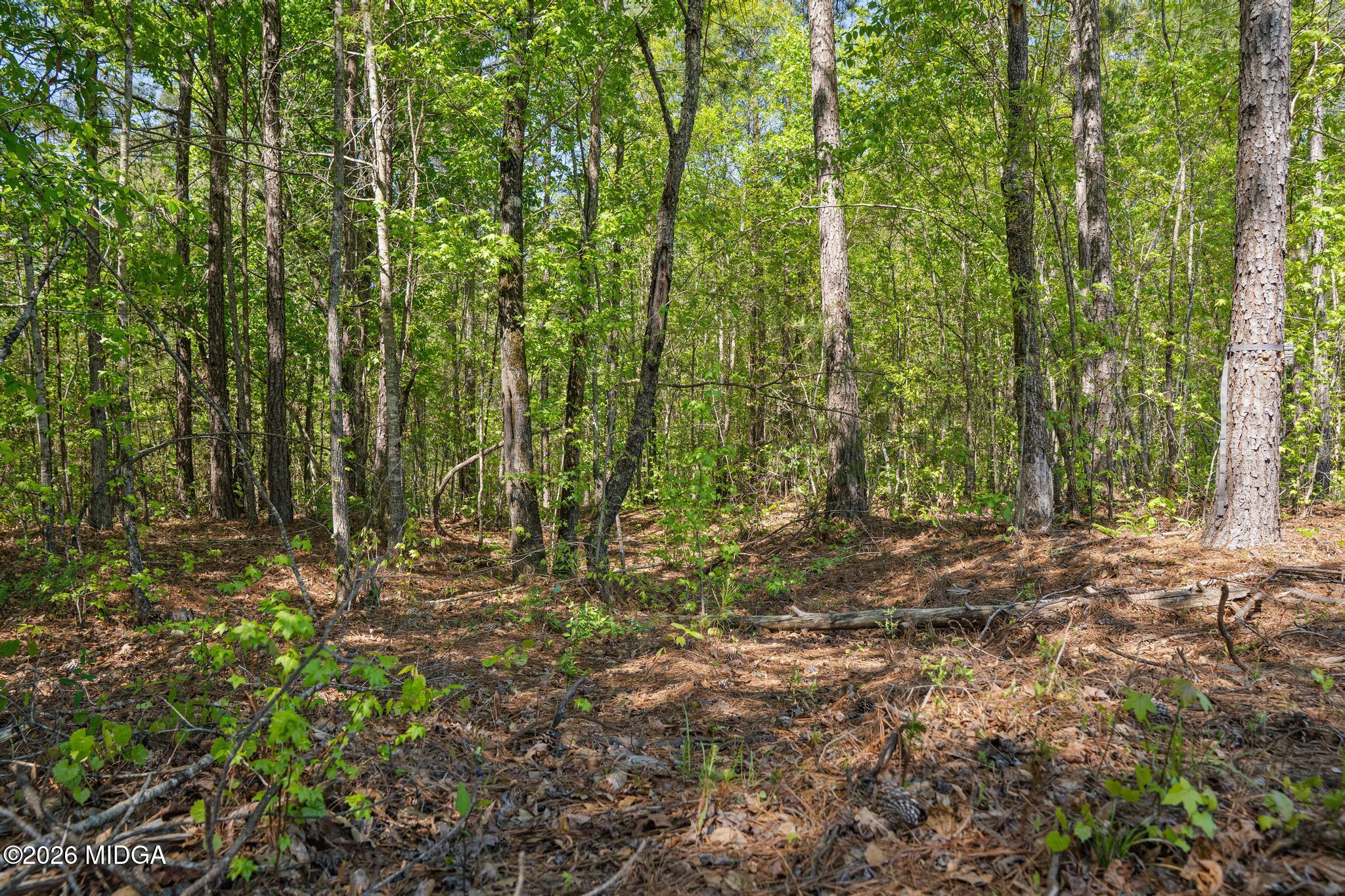 302 Goodwyne Road Forsyth, GA 31029 - Photo 8 of 17 DSC04234