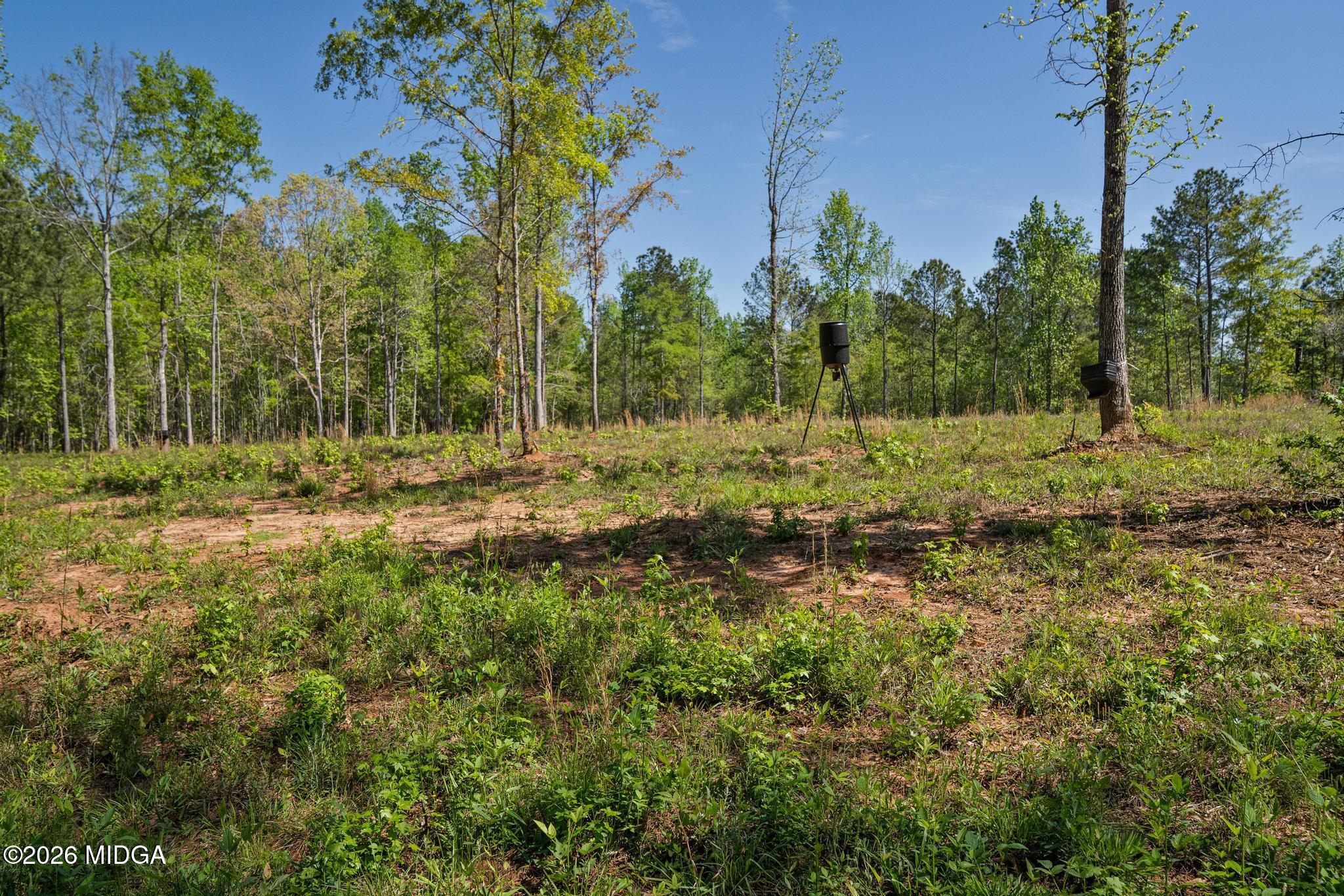 302 Goodwyne Road Forsyth, GA 31029 - Photo 9 of 17 DSC04235