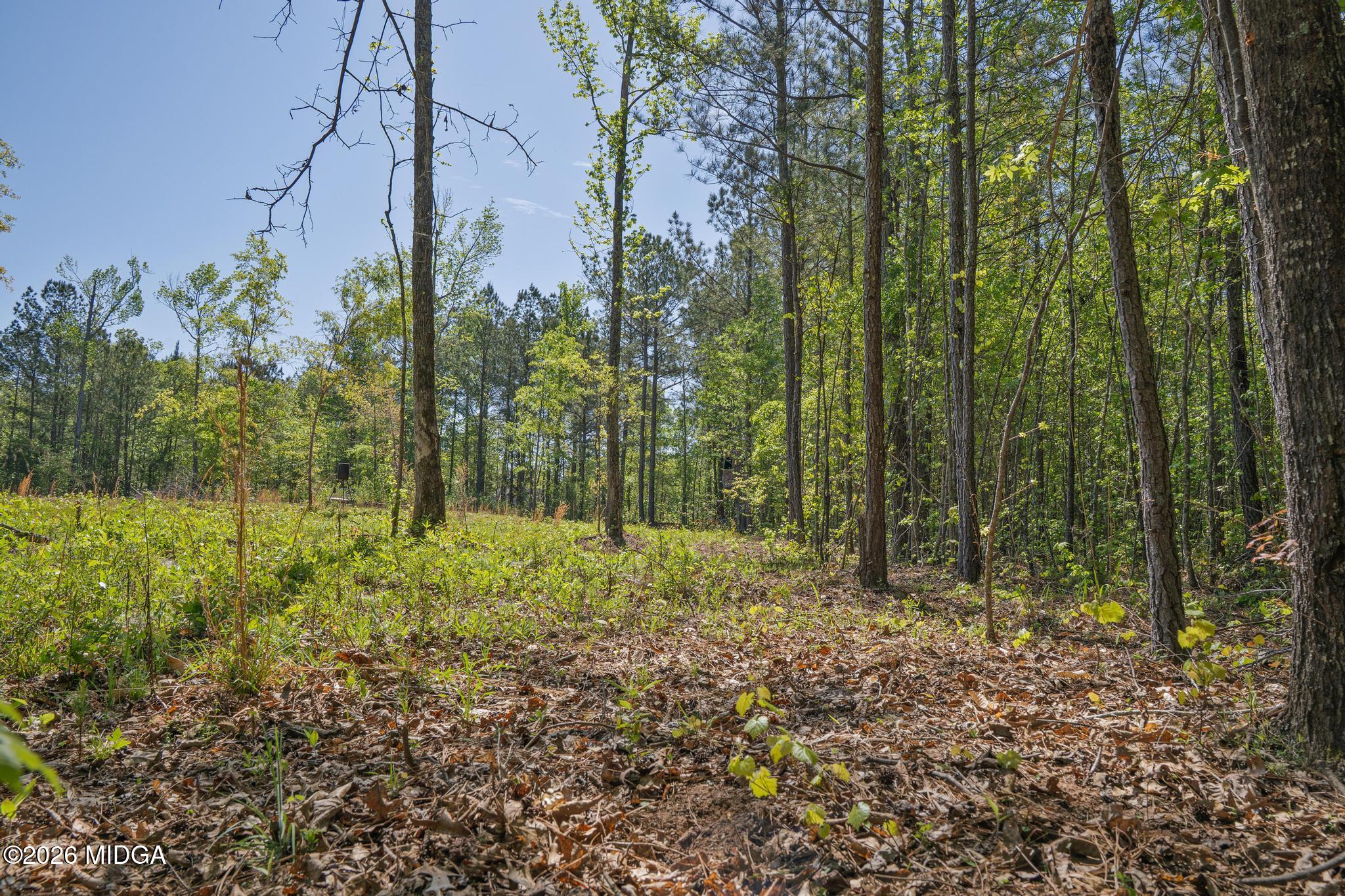 302 Goodwyne Road Forsyth, GA 31029 - Photo 10 of 17 DSC04241