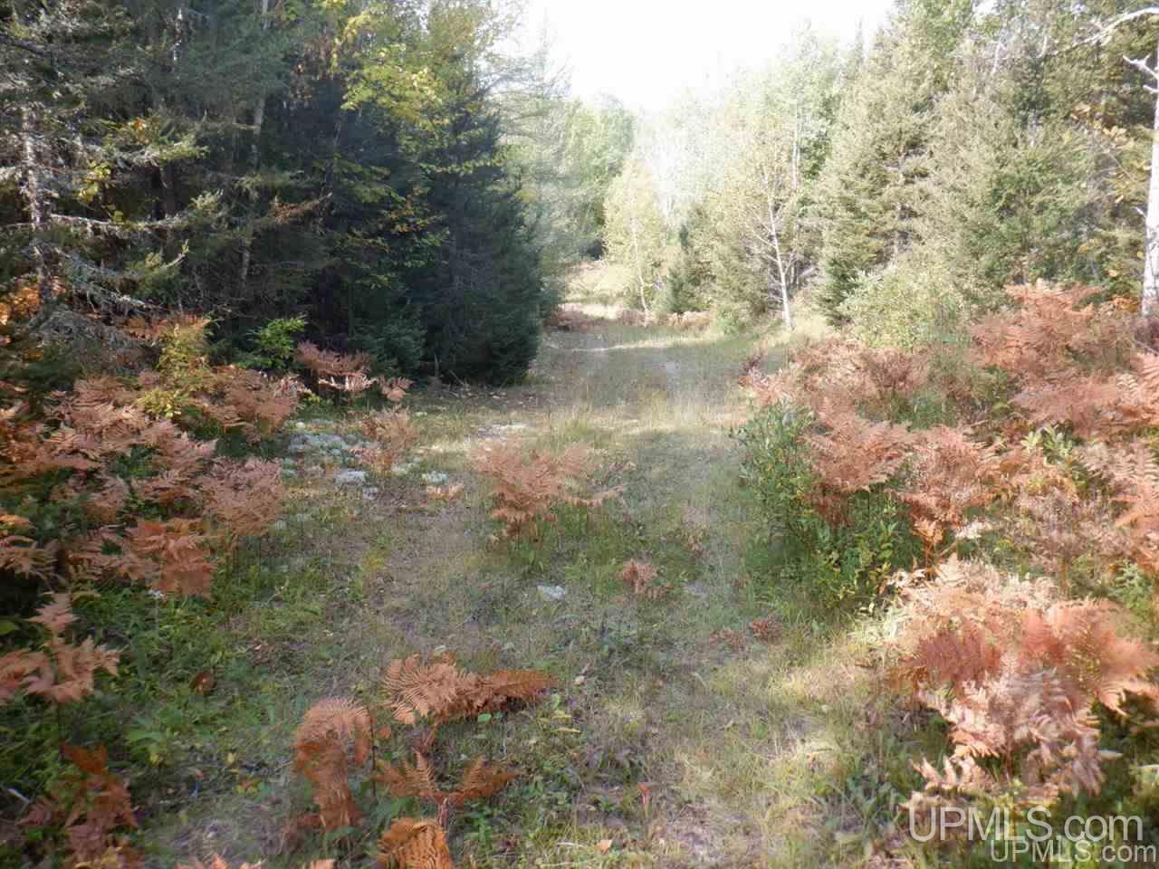 Tbd Bone Lake Road Amasa, MI 49903 - Photo 21 of 29