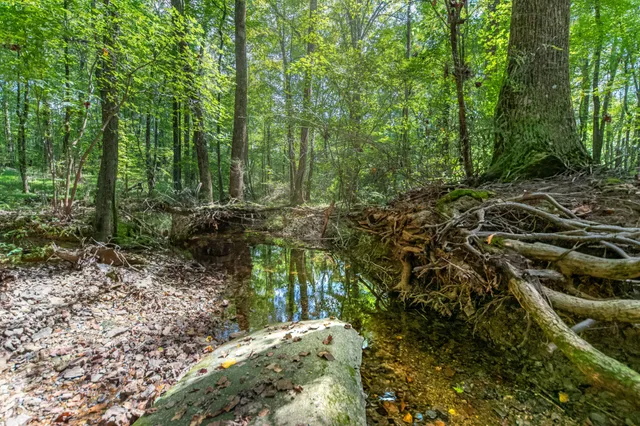 $424,900 | 812 Good Hope Road, Leoma, TN 38468