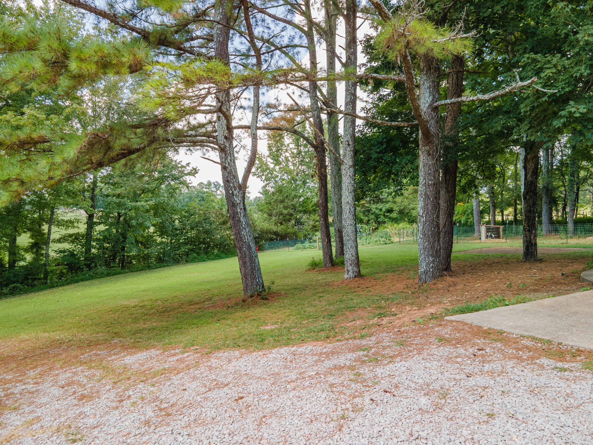 812 Good Hope Road Leoma, TN 38468 - Photo 47 of 78