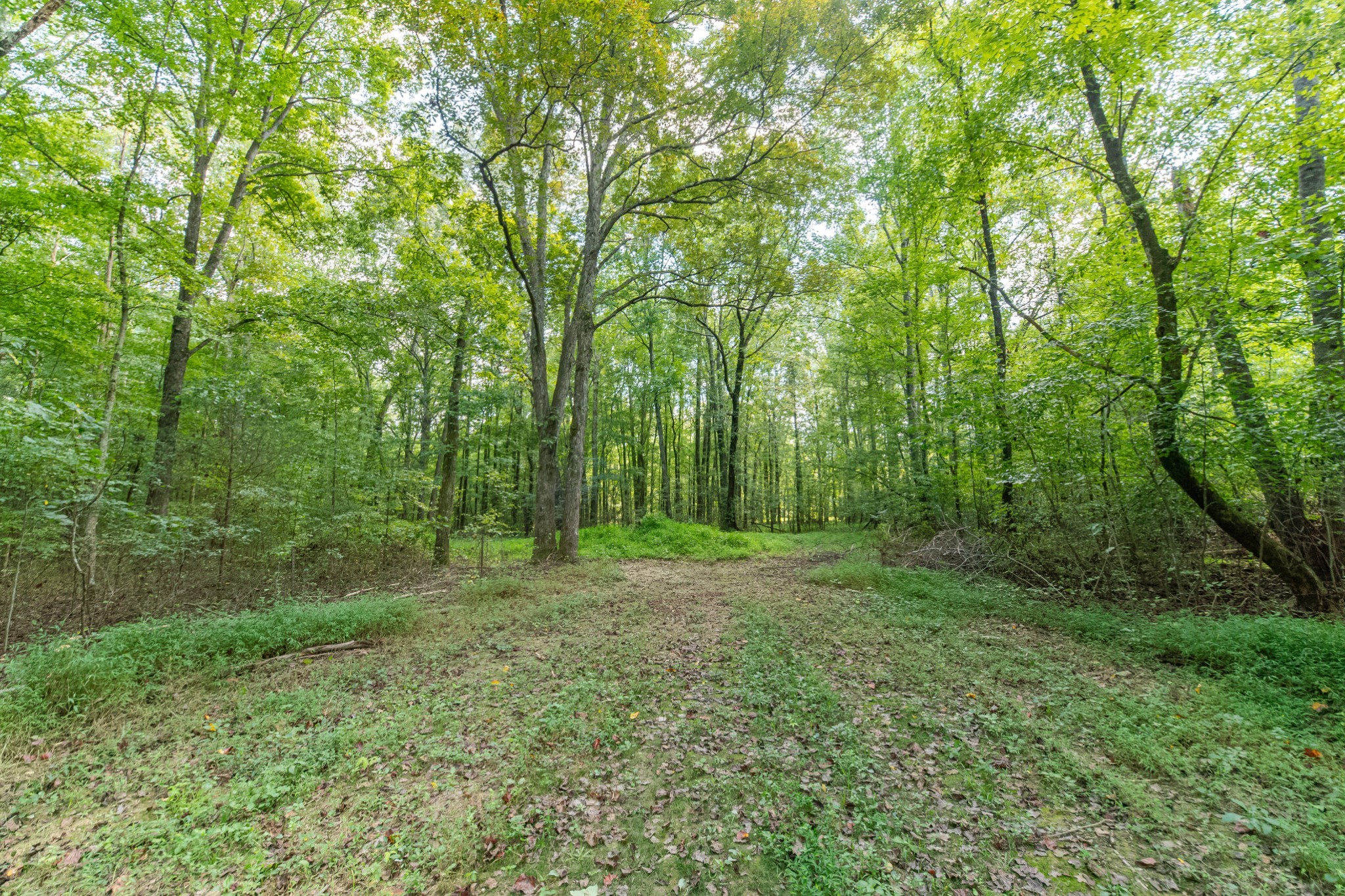 812 Good Hope Road Leoma, TN 38468 - Photo 58 of 78