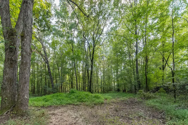 $424,900 | 812 Good Hope Road, Leoma, TN 38468