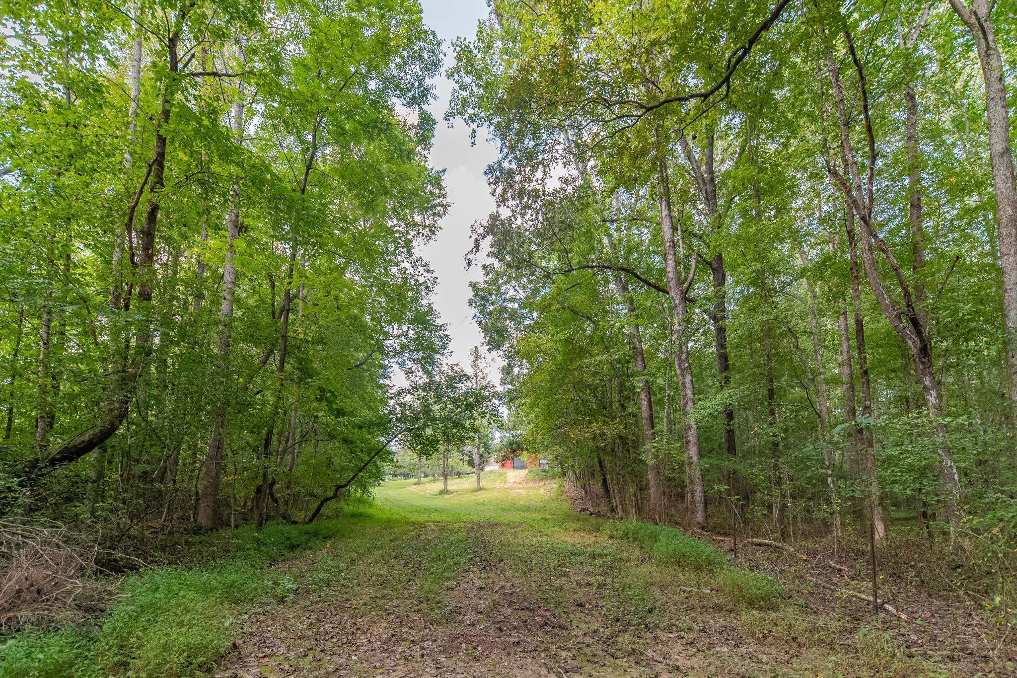 812 Good Hope Road Leoma, TN 38468 - Photo 60 of 78