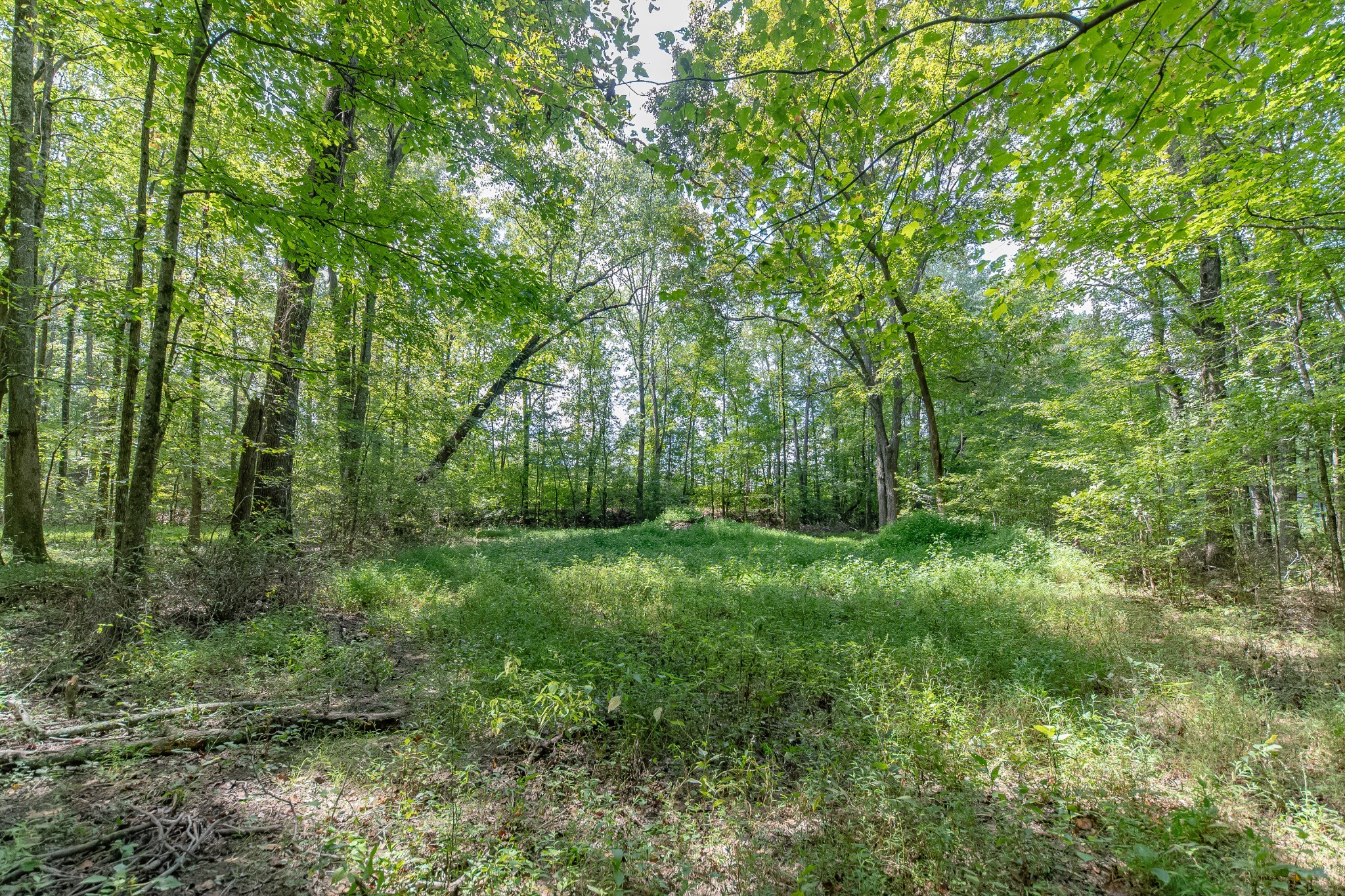 812 Good Hope Road Leoma, TN 38468 - Photo 61 of 78