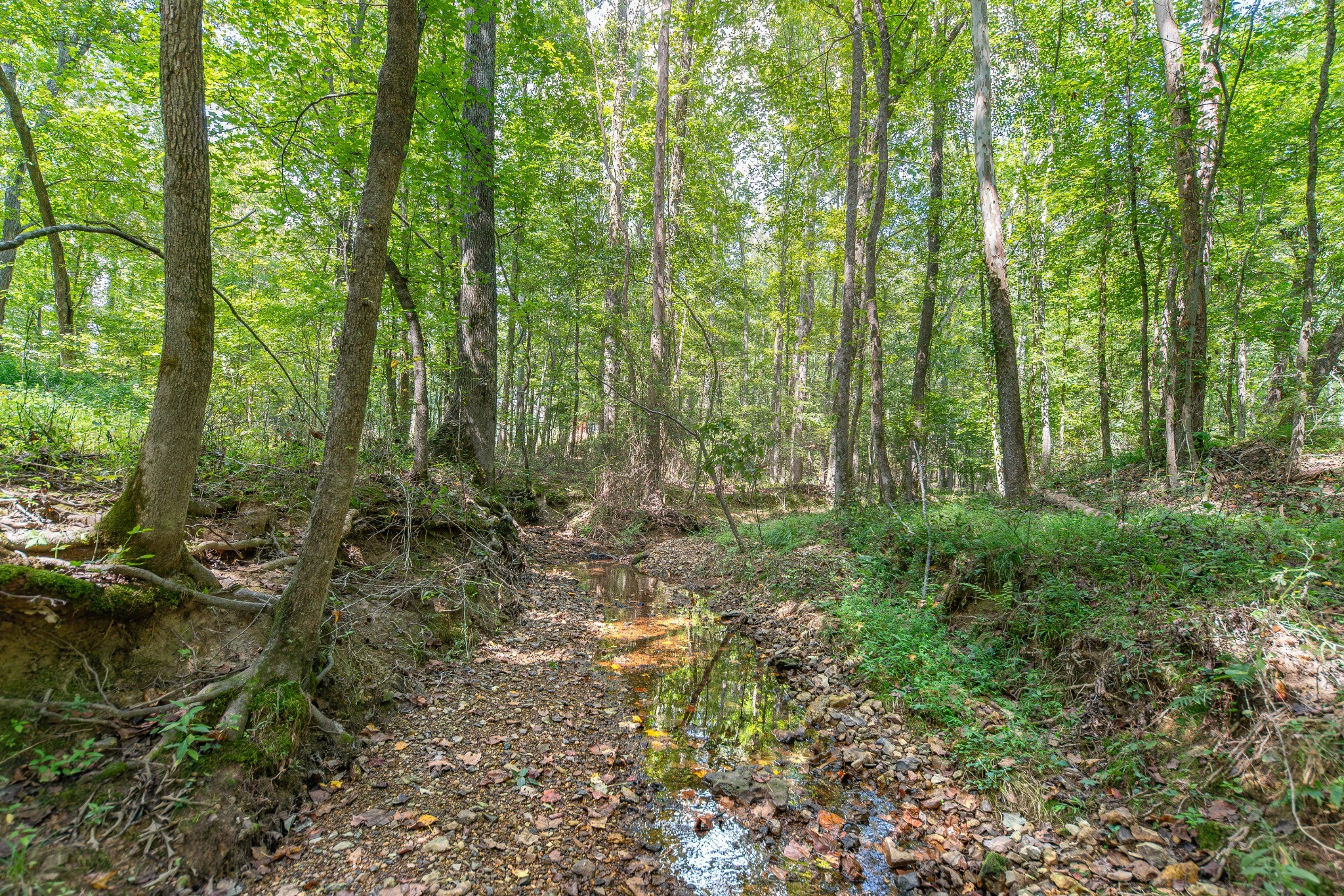 812 Good Hope Road Leoma, TN 38468 - Photo 62 of 78