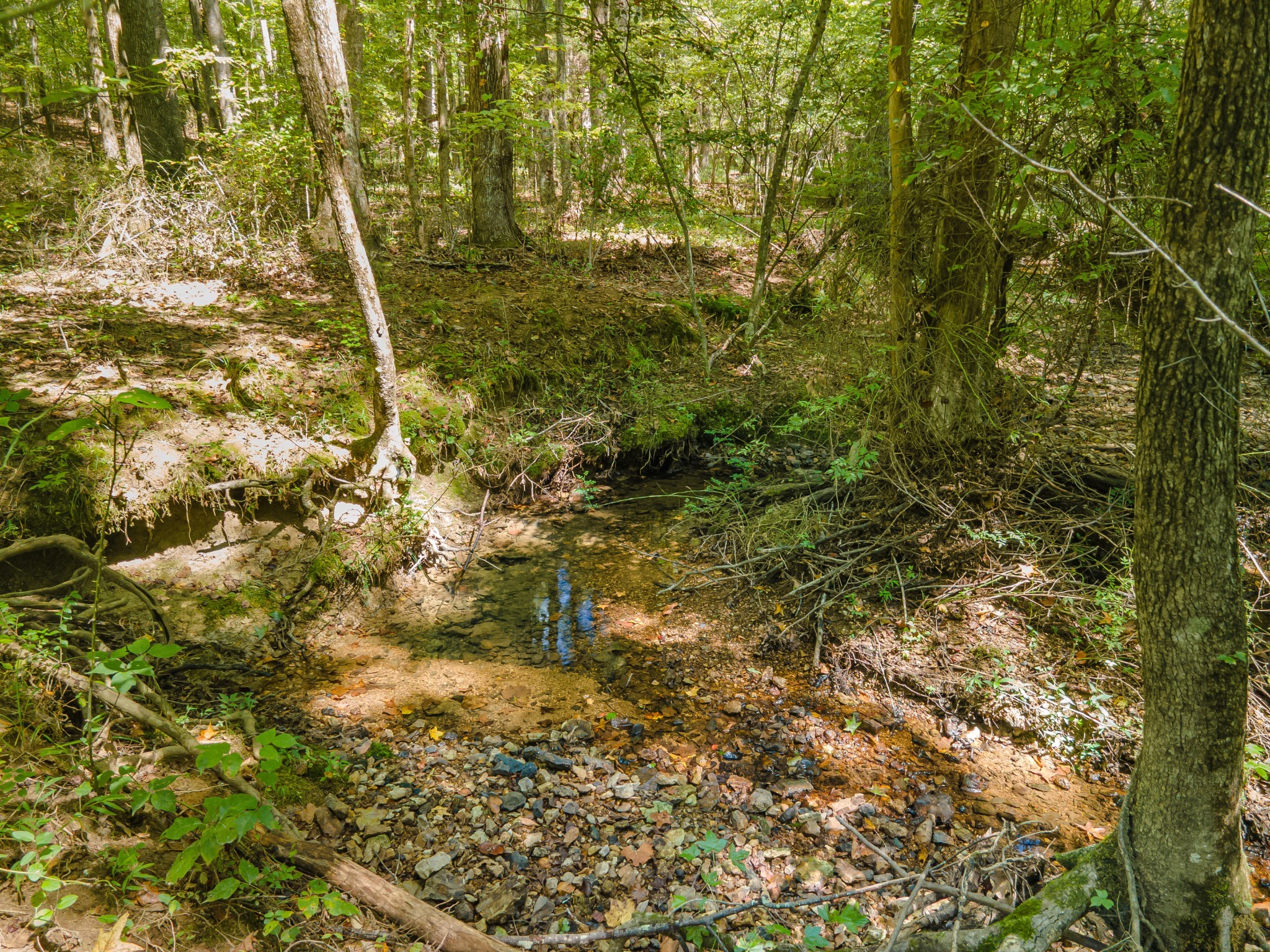 812 Good Hope Road Leoma, TN 38468 - Photo 63 of 78