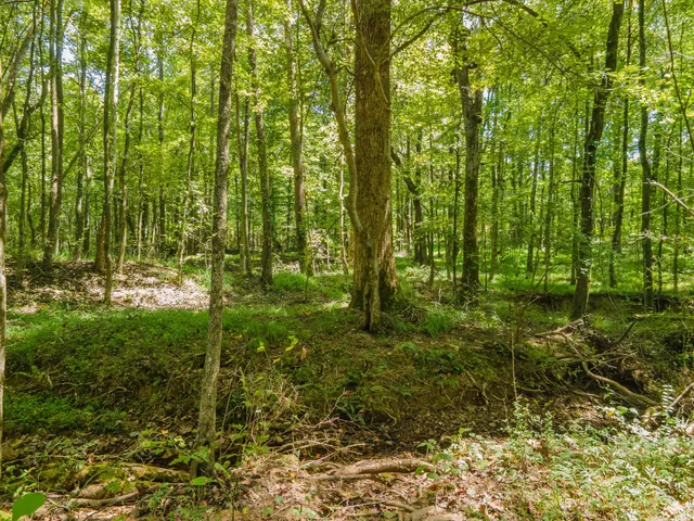 $424,900 | 812 Good Hope Road, Leoma, TN 38468