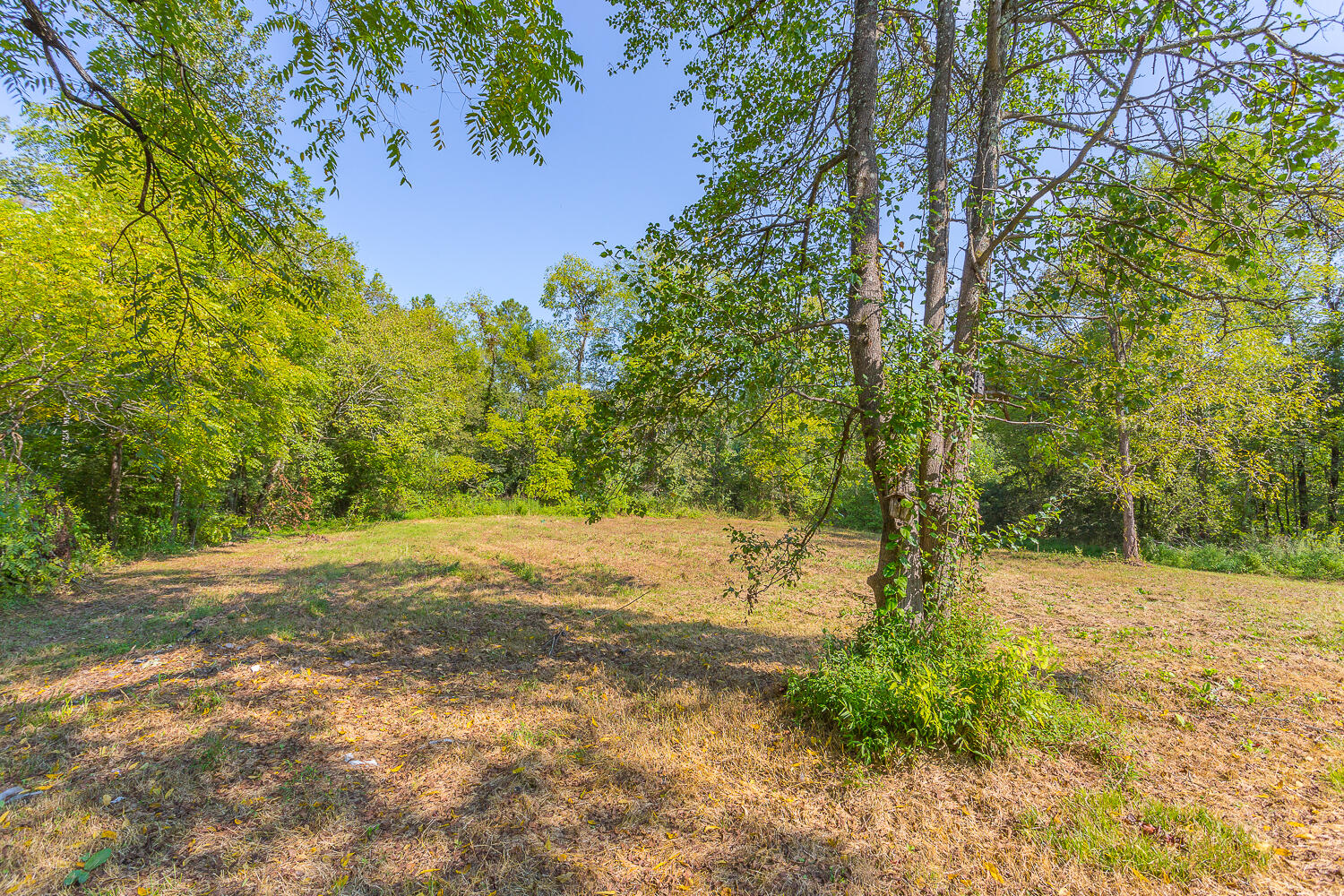 1975 East Emerson Road Cohutta, GA 30710 - Photo 5 of 27 1975 E Emerson HD -8