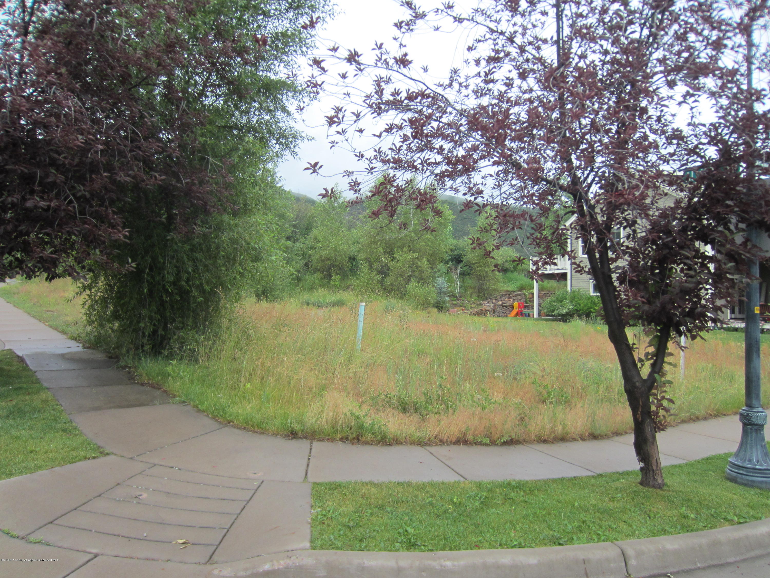 429 Meadow View Lane Basalt, CO 81621 - Photo 11 of 11 IMG_1456