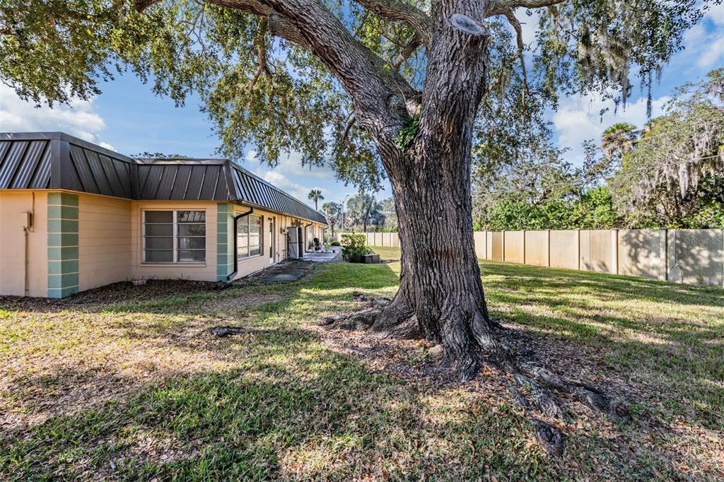 4450 Sunstate Drive New Port Richey, FL 34652 - Photo 20 of 29 a view of a house with backyard and a tree