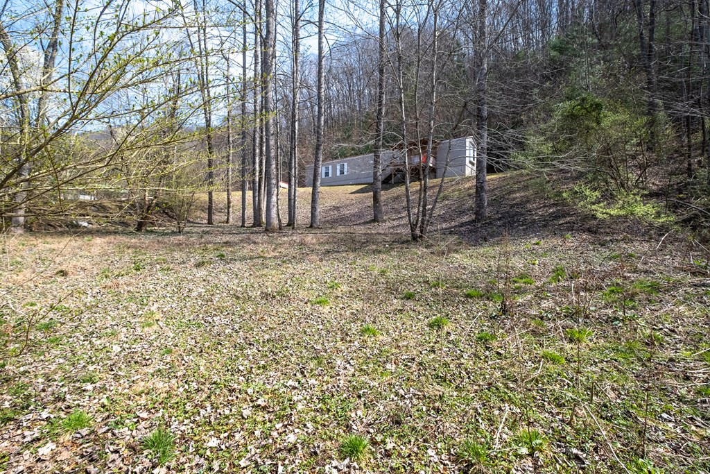 844 Canyon Road Marble, NC 28905 - Photo 58 of 61 Gallery Image 58