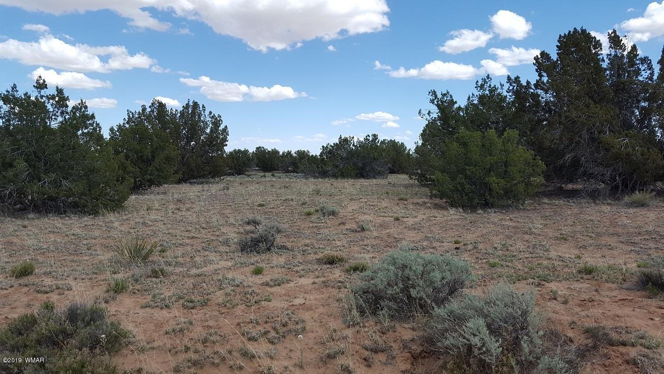 Lot 202 Red Sky Ranch St. Johns, AZ 85936 - Photo 1 of 15