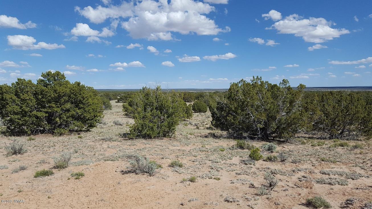 Lot 202 Red Sky Ranch St. Johns, AZ 85936 - Photo 11 of 15