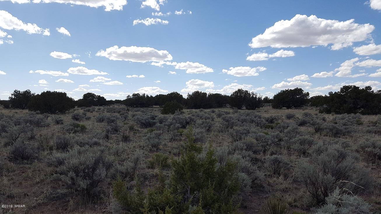 Lot 202 Red Sky Ranch St. Johns, AZ 85936 - Photo 12 of 15