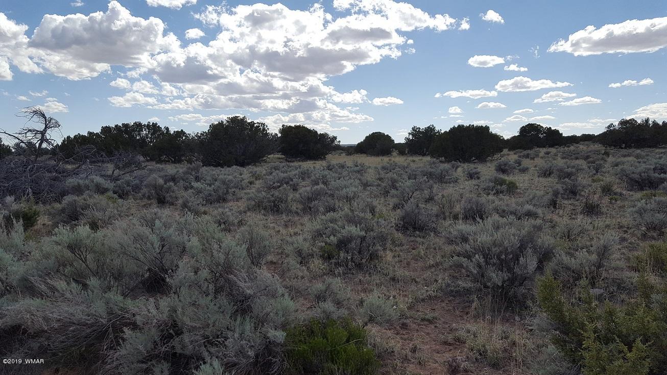 Lot 202 Red Sky Ranch St. Johns, AZ 85936 - Photo 13 of 15