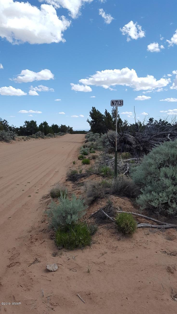 Lot 202 Red Sky Ranch St. Johns, AZ 85936 - Photo 3 of 15
