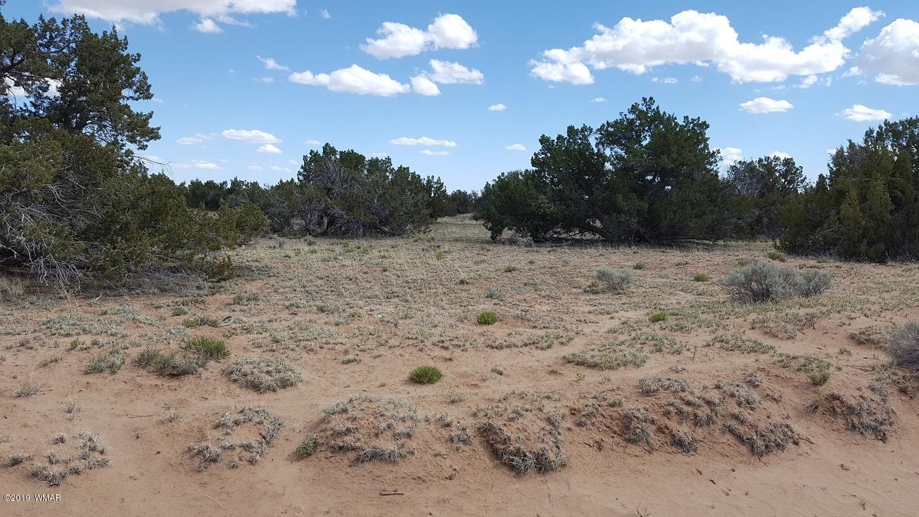 Lot 202 Red Sky Ranch St. Johns, AZ 85936 - Photo 4 of 15