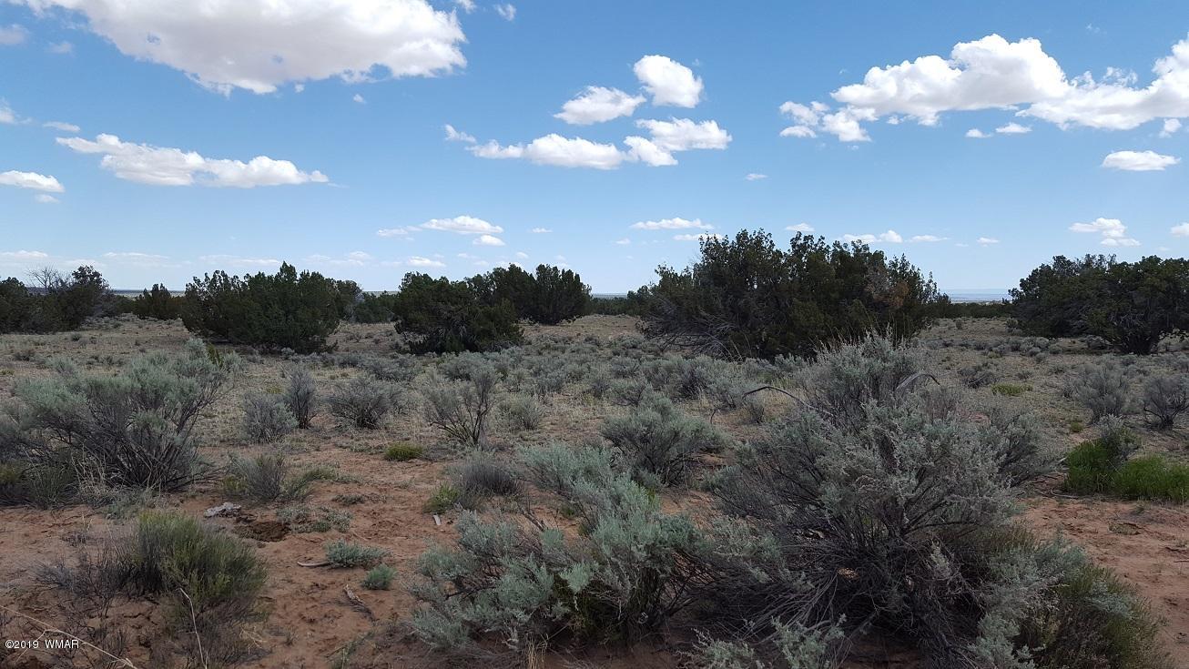 Lot 202 Red Sky Ranch St. Johns, AZ 85936 - Photo 5 of 15