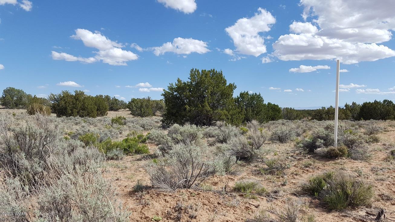 Lot 202 Red Sky Ranch St. Johns, AZ 85936 - Photo 6 of 15