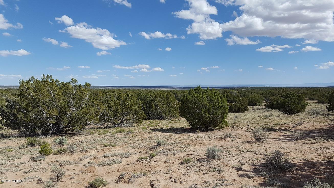 Lot 202 Red Sky Ranch St. Johns, AZ 85936 - Photo 10 of 15
