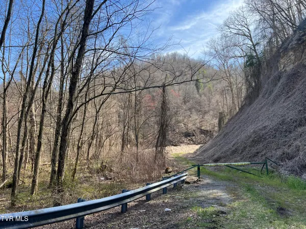 $110,000 | Tbd Bull Run Road, Coeburn, VA 24230