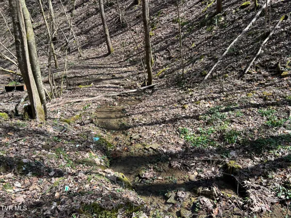 $110,000 | Tbd Bull Run Road, Coeburn, VA 24230
