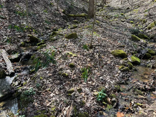$110,000 | Tbd Bull Run Road, Coeburn, VA 24230