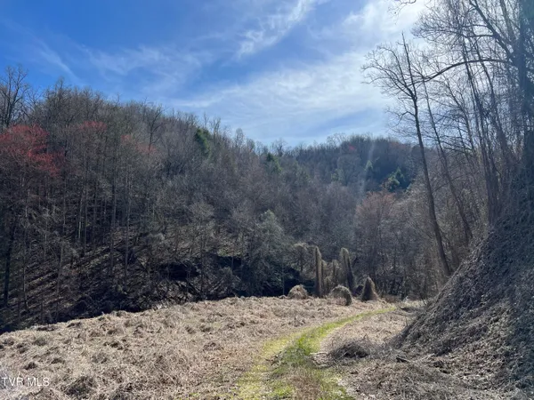$110,000 | Tbd Bull Run Road, Coeburn, VA 24230
