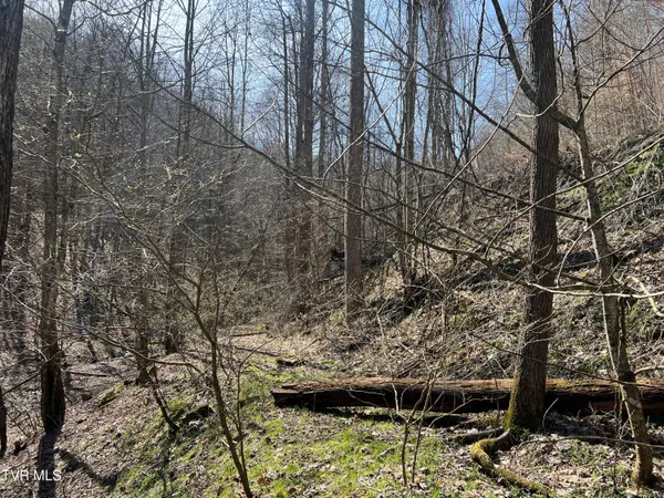 $110,000 | Tbd Bull Run Road, Coeburn, VA 24230