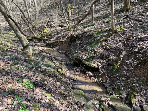 $110,000 | Tbd Bull Run Road, Coeburn, VA 24230