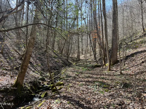 $110,000 | Tbd Bull Run Road, Coeburn, VA 24230