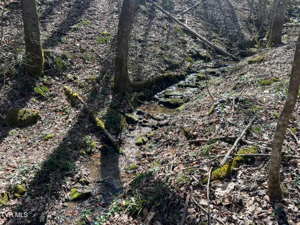 $110,000 | Tbd Bull Run Road, Coeburn, VA 24230