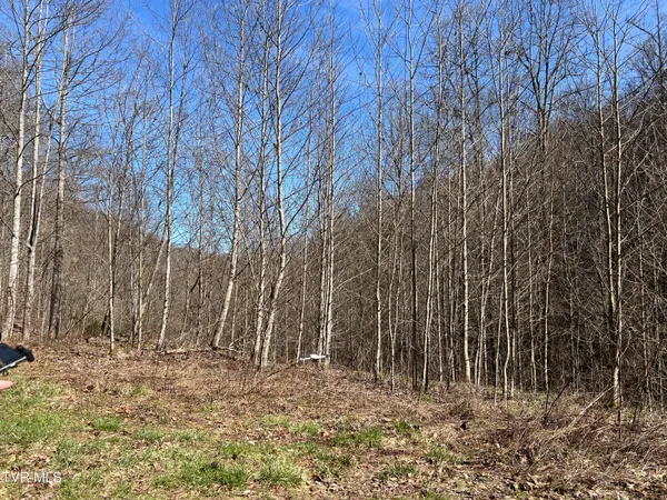 $110,000 | Tbd Bull Run Road, Coeburn, VA 24230