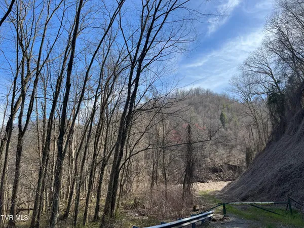 $110,000 | Tbd Bull Run Road, Coeburn, VA 24230
