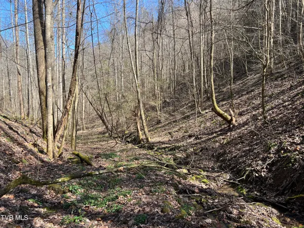 $110,000 | Tbd Bull Run Road, Coeburn, VA 24230