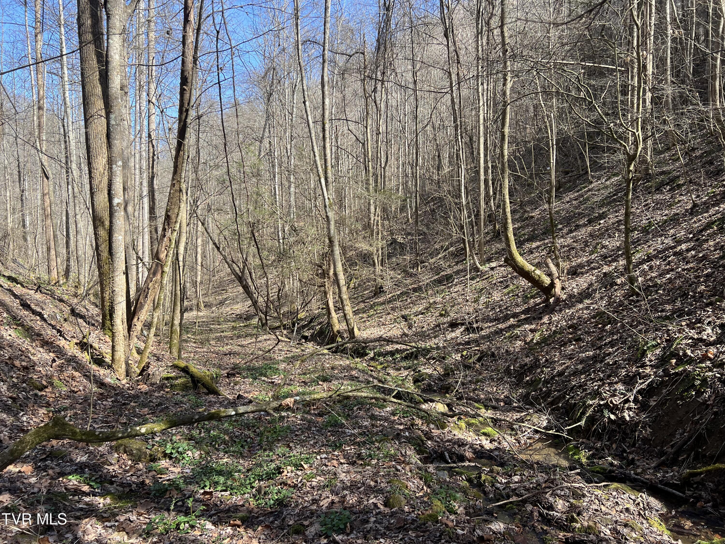 Tbd Bull Run Road Coeburn, VA 24230 - Photo 2 of 57 IMG_7046