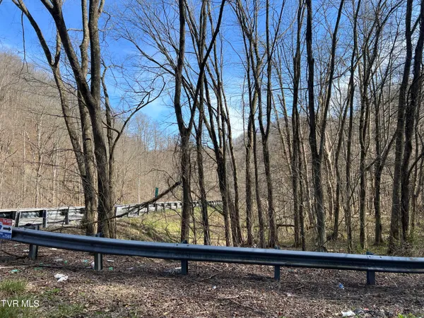$110,000 | Tbd Bull Run Road, Coeburn, VA 24230