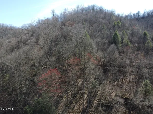 $110,000 | Tbd Bull Run Road, Coeburn, VA 24230