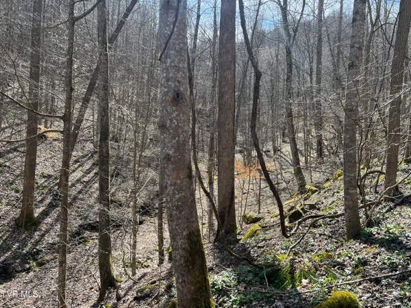 $110,000 | Tbd Bull Run Road, Coeburn, VA 24230