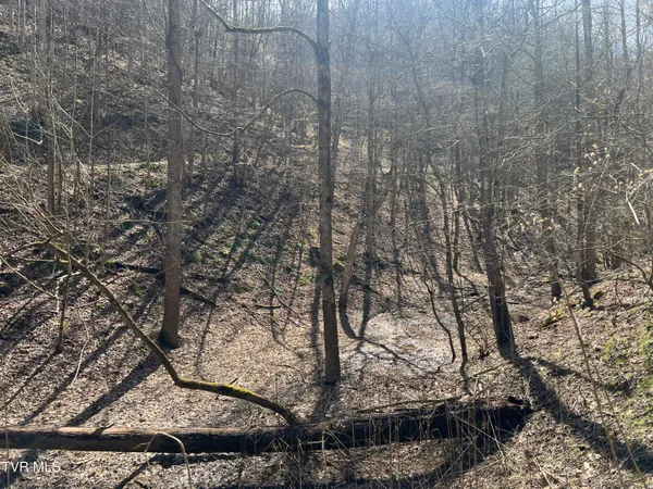 $110,000 | Tbd Bull Run Road, Coeburn, VA 24230